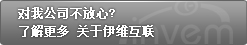 网络公司伊维互联